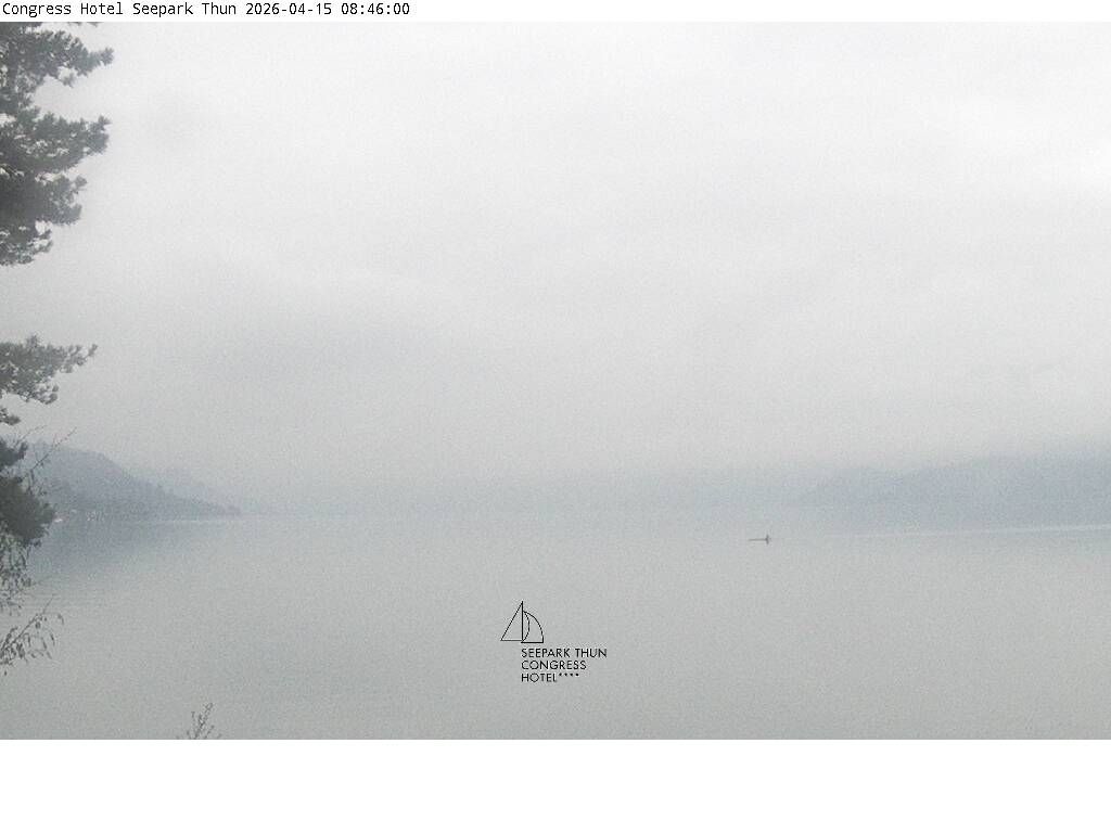 Thun: Congress Hotel Seepark