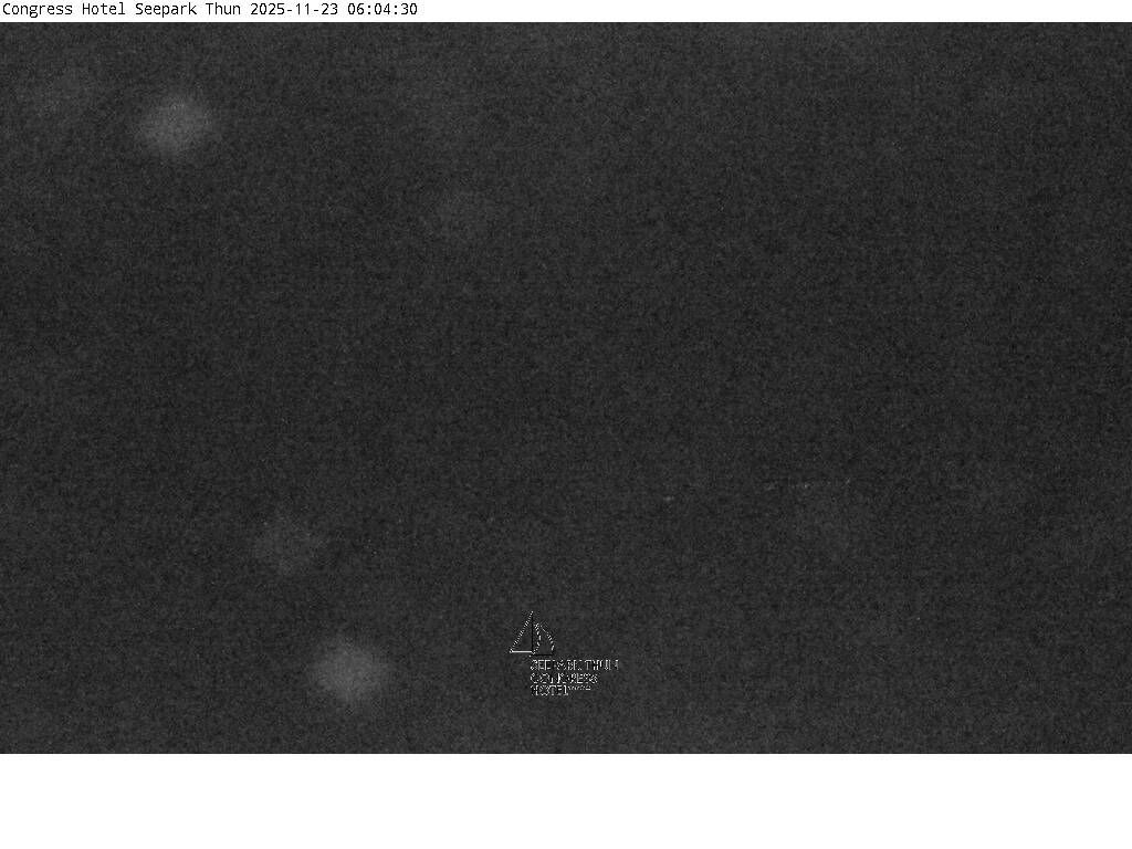 Thun: Congress Hotel Seepark