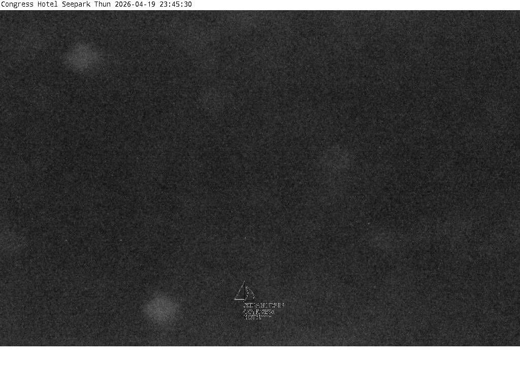 Thun: Congress Hotel Seepark