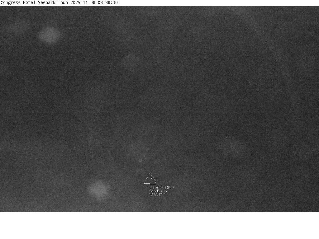 Thun: Congress Hotel Seepark