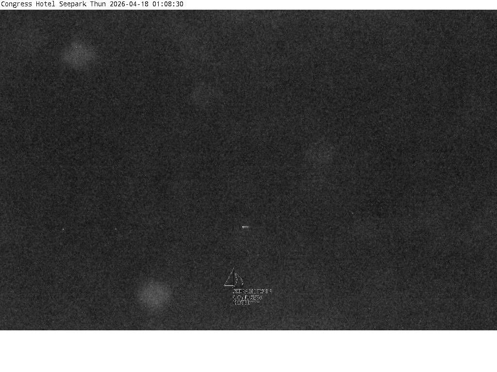 Thun: Congress Hotel Seepark