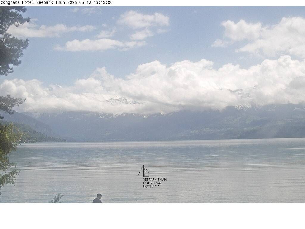 Thun: Congress Hotel Seepark