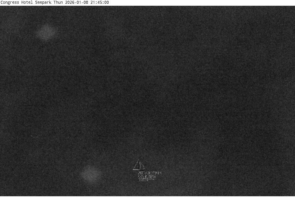 Thun: Congress Hotel Seepark