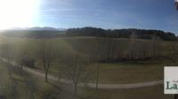 Waging am See: Panorama Webcam, Lapperhof bei