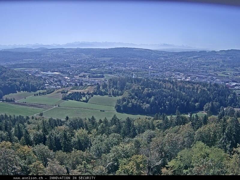 Dänikon › Süden: Aussichtsturm Altberg - Geroldswil