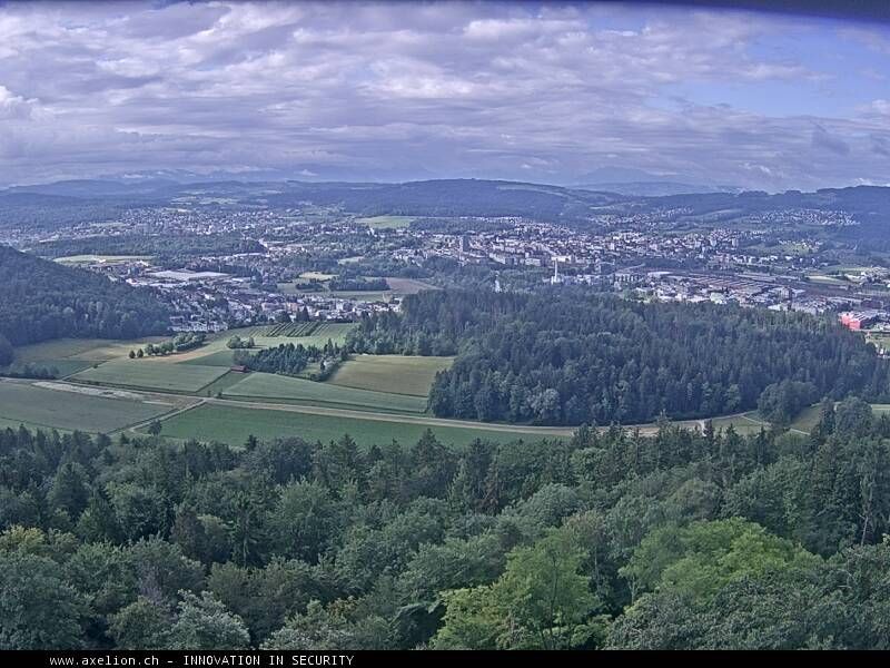 Dänikon › Süden: Aussichtsturm Altberg - Geroldswil