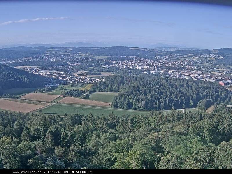 Dänikon › Süden: Aussichtsturm Altberg - Geroldswil