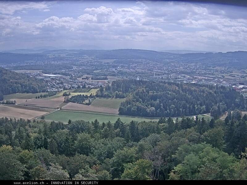 Dänikon › Süden: Aussichtsturm Altberg - Geroldswil