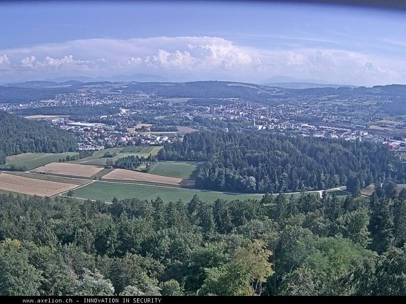 Dänikon › Süden: Aussichtsturm Altberg - Geroldswil