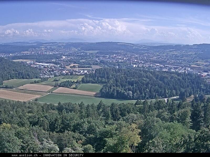 Dänikon › Süden: Aussichtsturm Altberg - Geroldswil