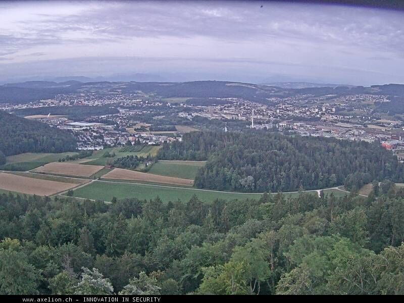 Dänikon › Süden: Aussichtsturm Altberg - Geroldswil
