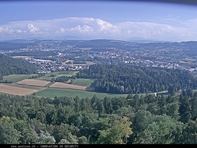 Dänikon › Süden: Aussichtsturm Altberg - Geroldswil