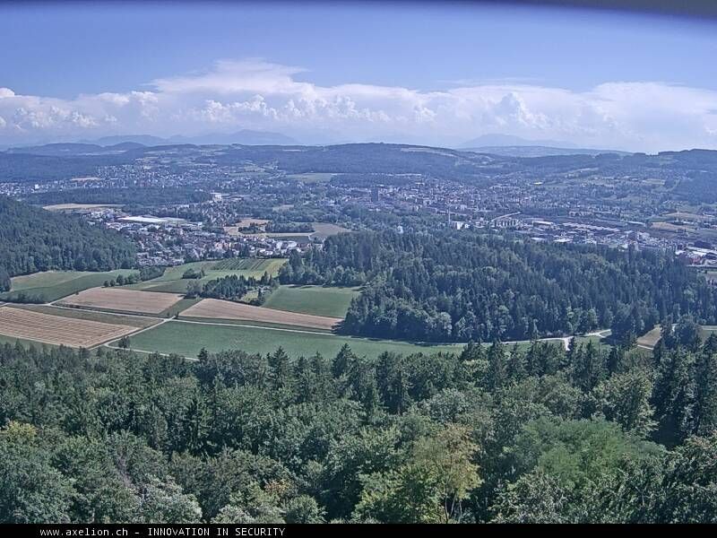 Dänikon › Süden: Aussichtsturm Altberg - Geroldswil