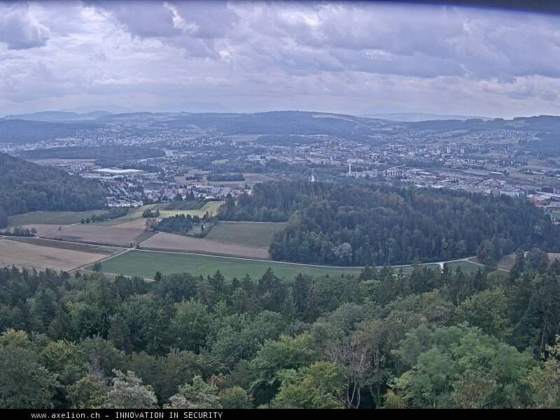 Dänikon › Süden: Aussichtsturm Altberg - Geroldswil