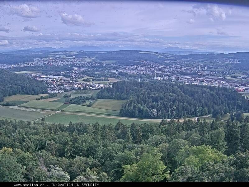 Dänikon › Süden: Aussichtsturm Altberg - Geroldswil
