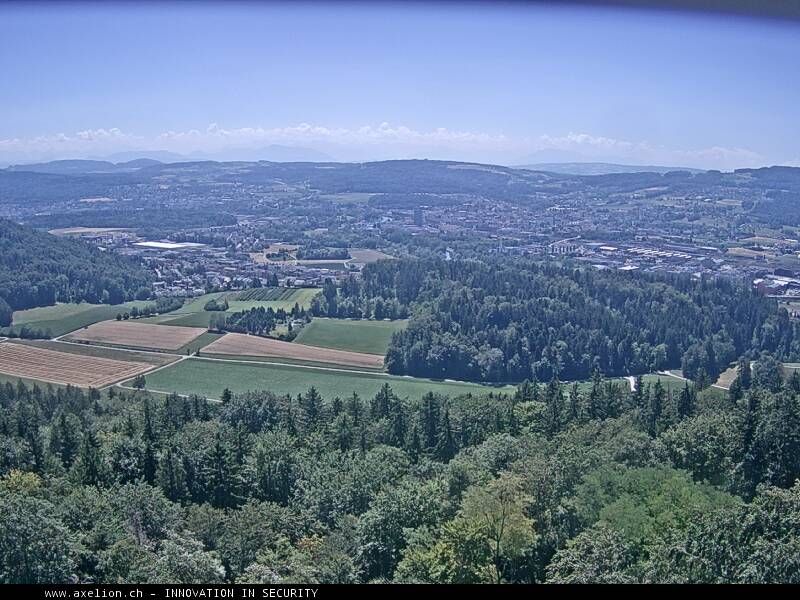 Dänikon › Süden: Aussichtsturm Altberg - Geroldswil