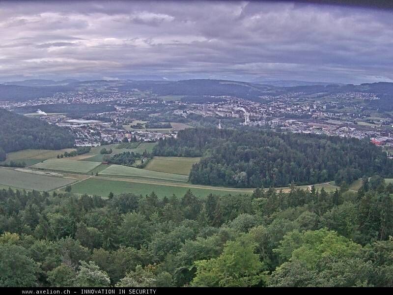 Dänikon › Süden: Aussichtsturm Altberg - Geroldswil