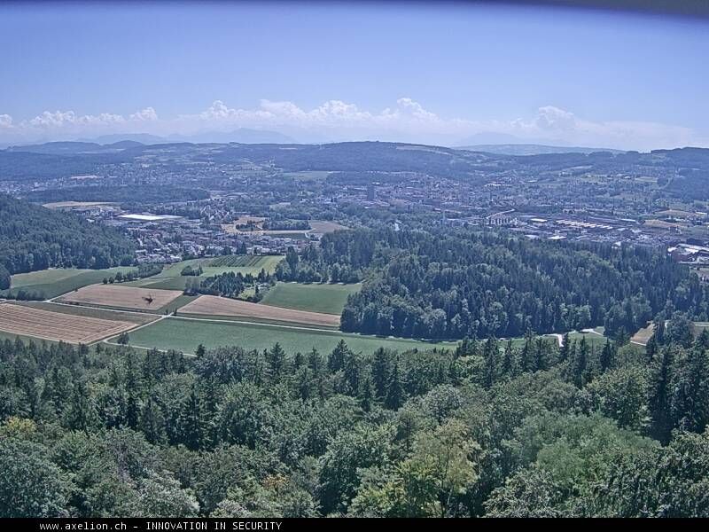 Dänikon › Süden: Aussichtsturm Altberg - Geroldswil