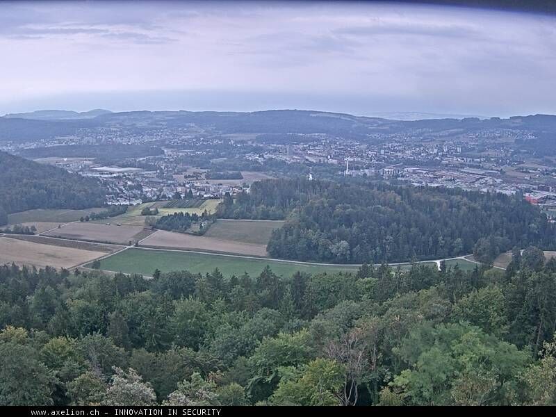 Dänikon › Süden: Aussichtsturm Altberg - Geroldswil