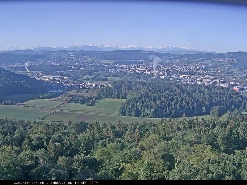Dänikon › Süden: Aussichtsturm Altberg - Geroldswil