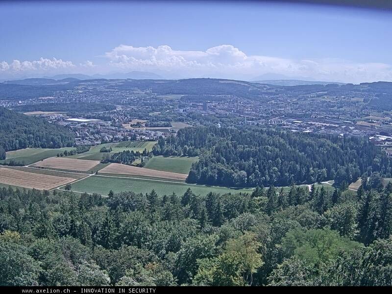 Dänikon › Süden: Aussichtsturm Altberg - Geroldswil