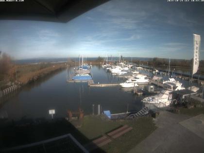 Altenrhein: Rheinspitz