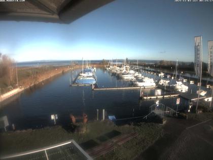 Altenrhein: Rheinspitz