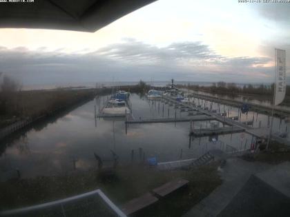 Altenrhein: Rheinspitz