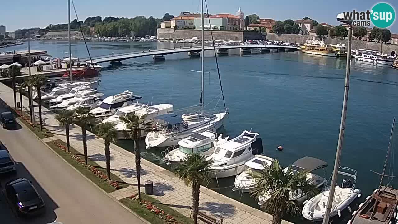 Gradski most Webcam