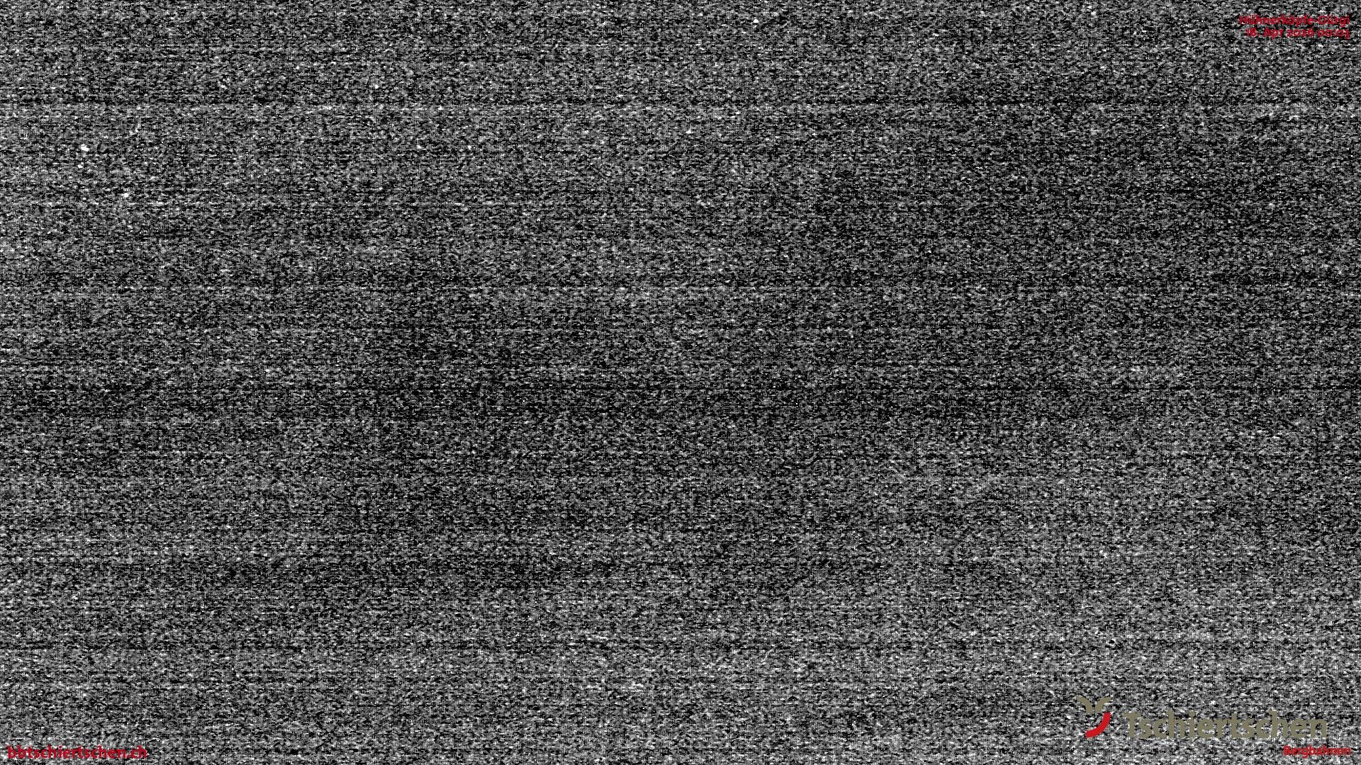 Tschiertschen: Hühnerköpfe (2. Sektion Bergstation)