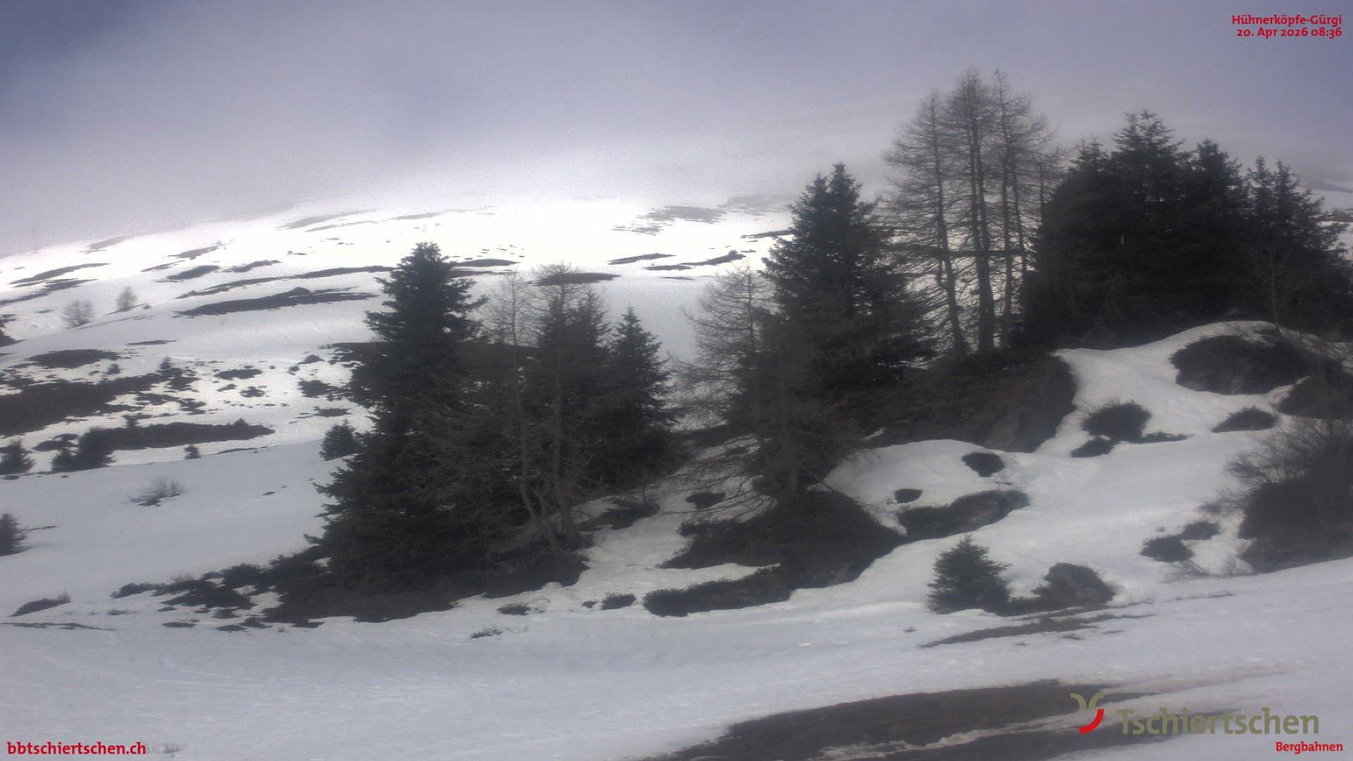 Tschiertschen: Hühnerköpfe (2. Sektion Bergstation)