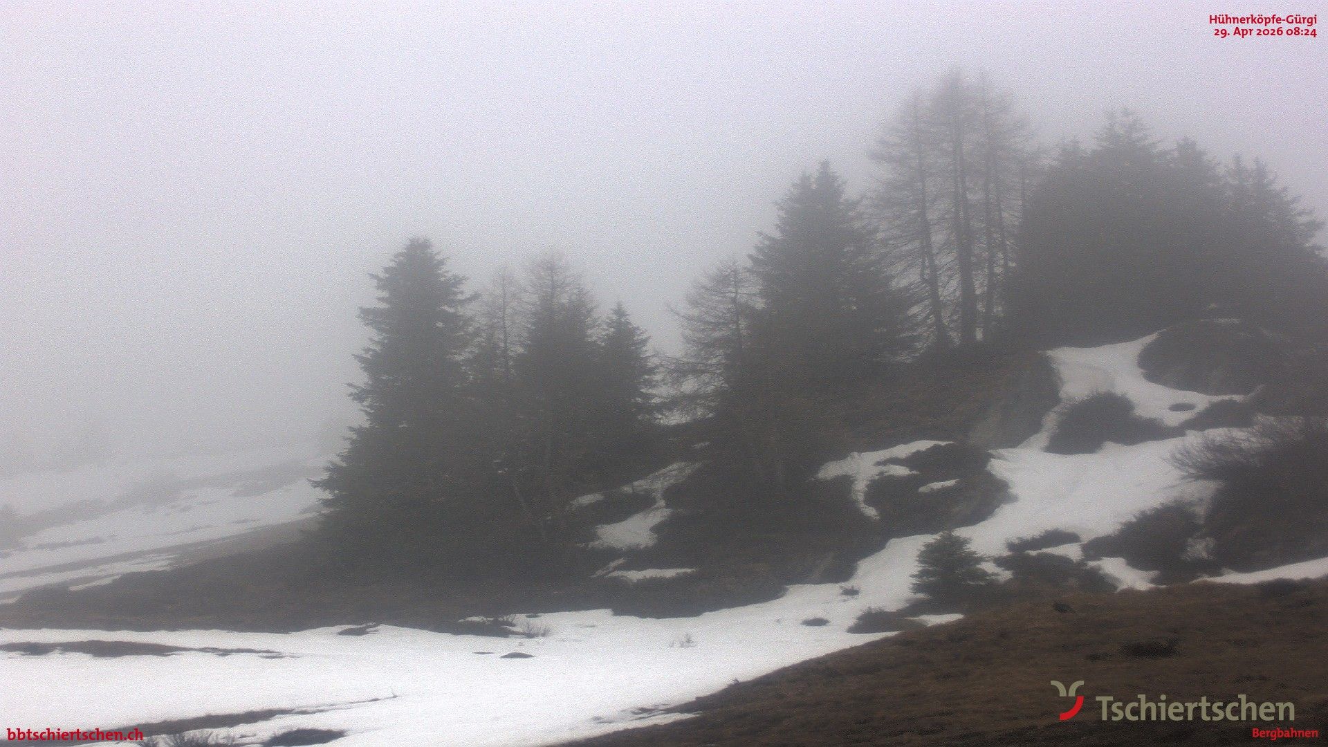 Tschiertschen: Hühnerköpfe (2. Sektion Bergstation)