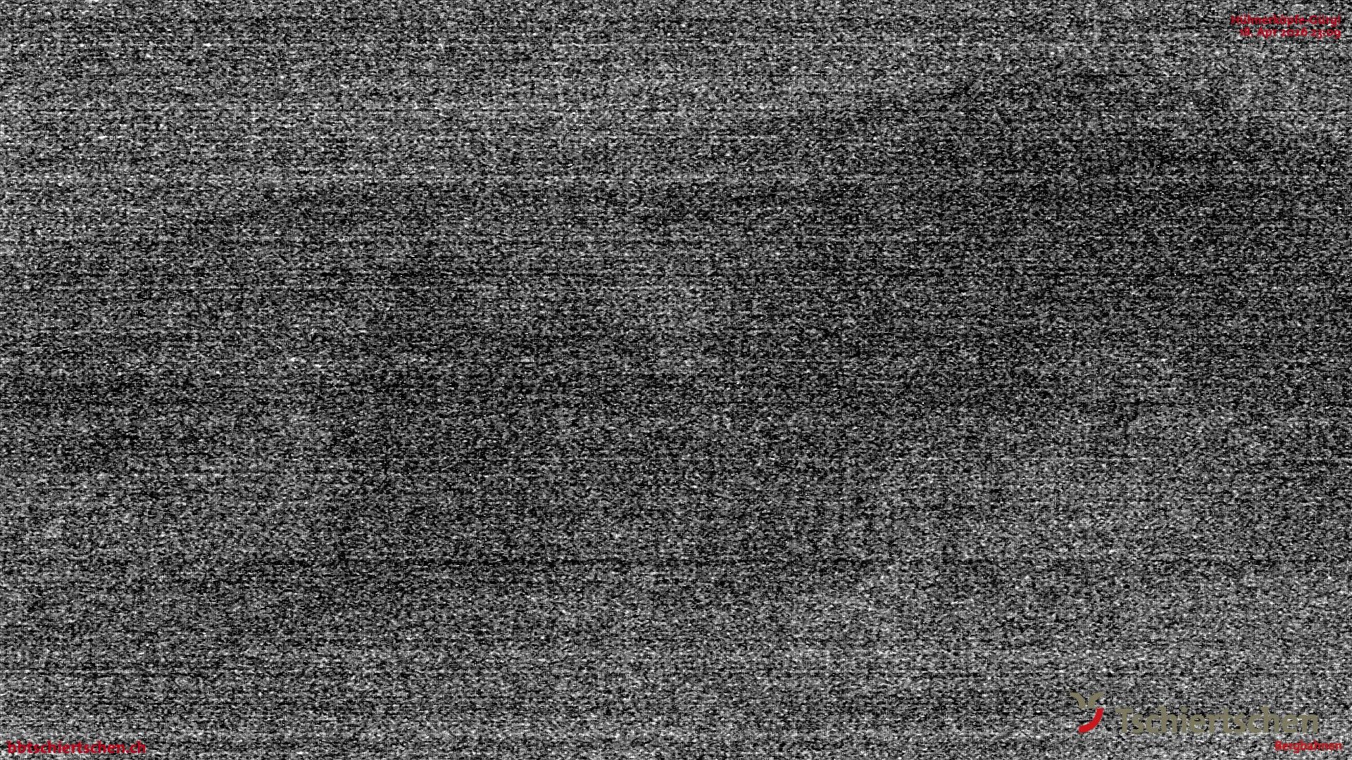 Tschiertschen: Hühnerköpfe (2. Sektion Bergstation)