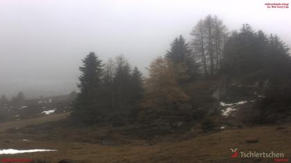 Tschiertschen: Hühnerköpfe (2. Sektion Bergstation)