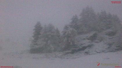 Tschiertschen: Hühnerköpfe (2. Sektion Bergstation)