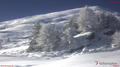 Tschiertschen: Hühnerköpfe (2. Sektion Bergstation)