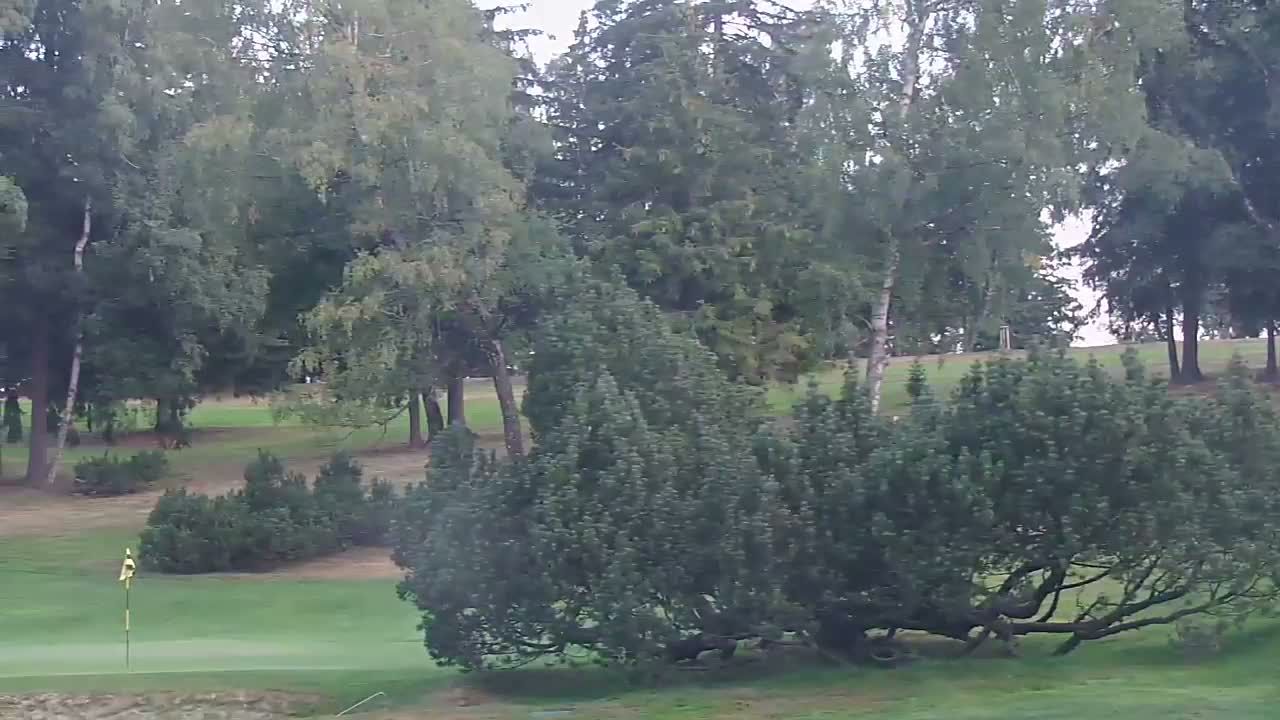 Traffic Cam Svratka: GOLF CLUB SVRATKA 1932