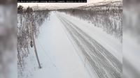 Kilpisjärvi: E Øvre Helligskogen (Retning Skibotn)