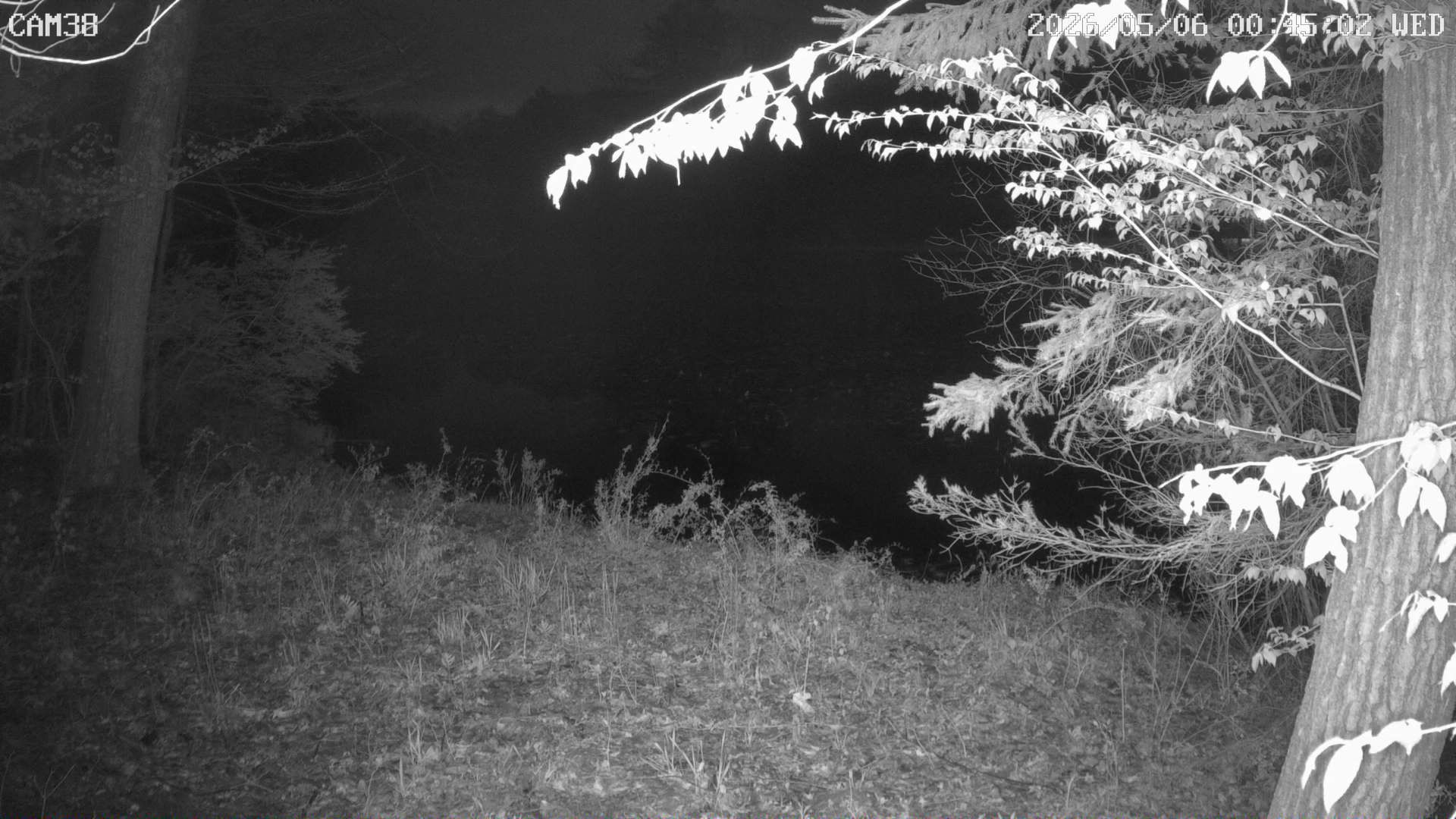 Traffic Cam Town of Sand Lake › North-West