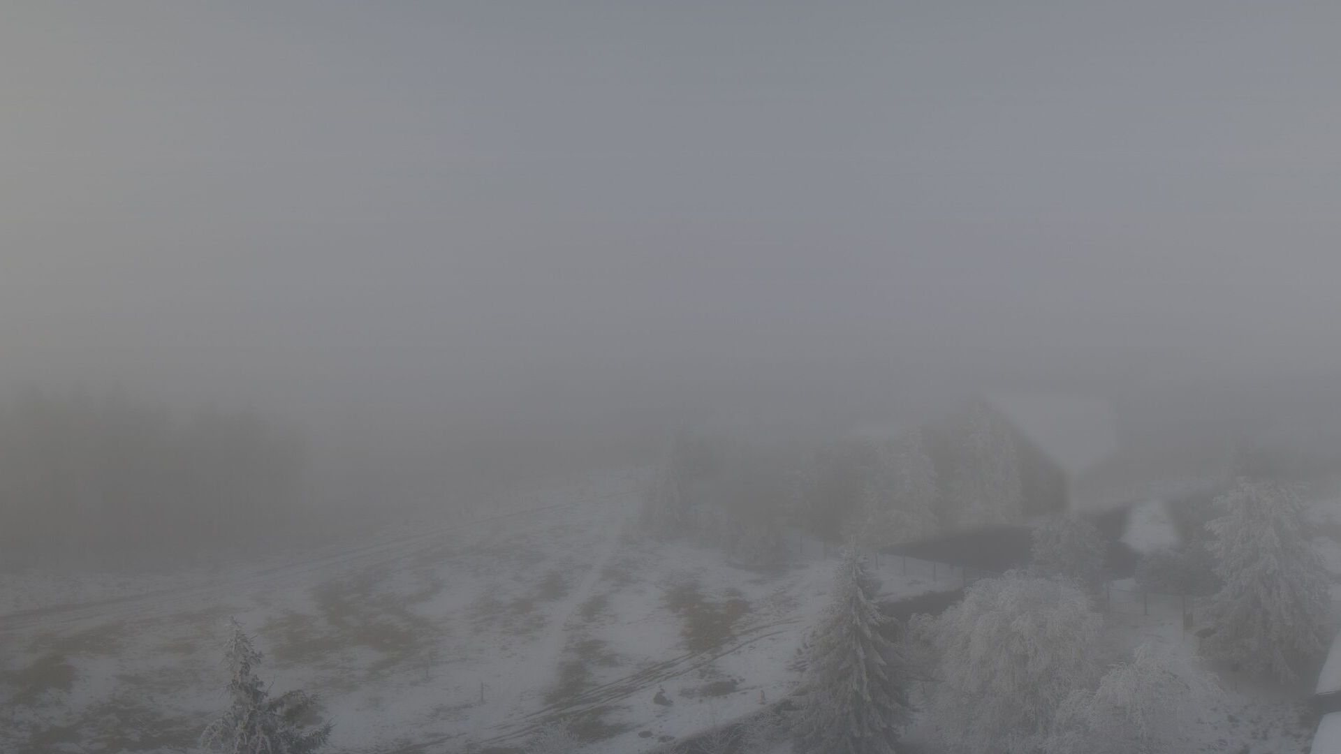 Bachfeld mountain Webcam