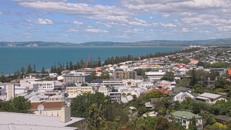 Napier webcam
