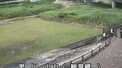 Tochigi today