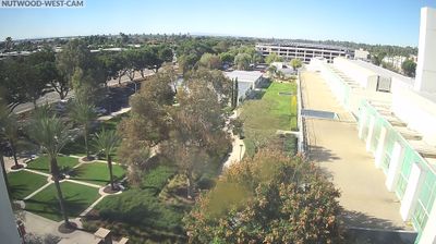 Fullerton Daytime Webcam Image