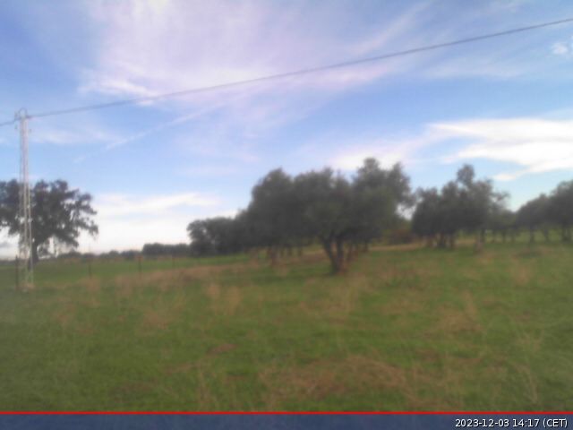 Traffic Cam El Viso › South