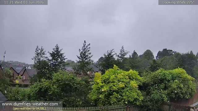 Dumfries webcam