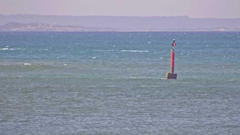 Wallington webcam