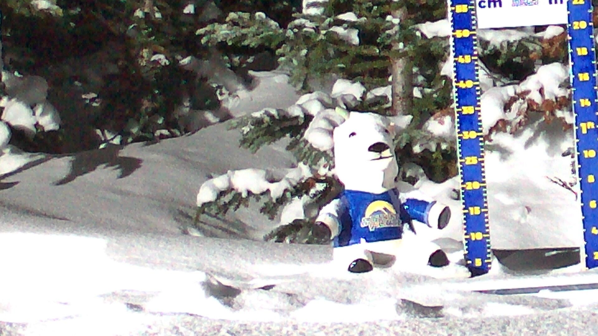 Traffic Cam Banff: Sunshine Village Mountain Cam