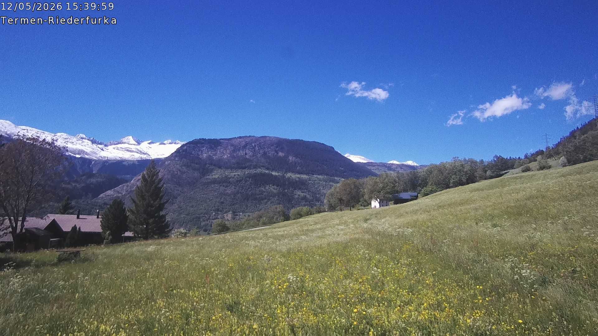 Termen › Süden: Riederhorn - Belalp - Bettmeralp