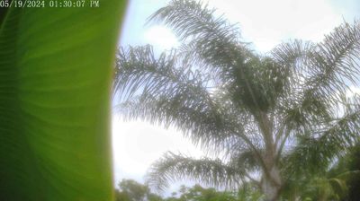 Jupiter Daytime Webcam Image