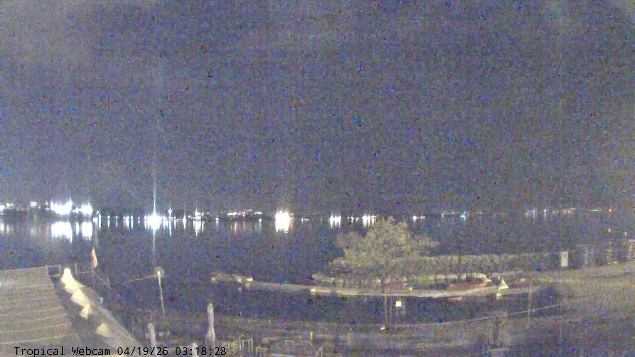 Cologny: Tropical Corner